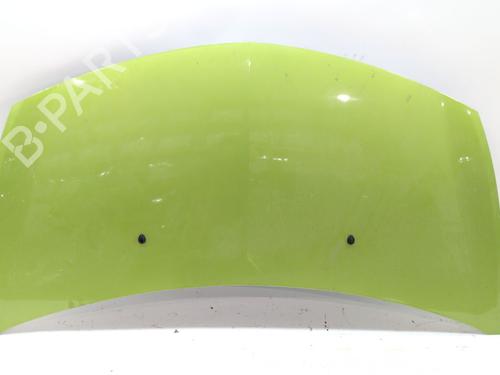 Used Hood RENAULT CLIO III (BR0/1, CR0/1) 1.5 dCi (C/BR0G, C/BR1G) (68 hp) 28210753