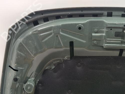 Panser DACIA DUSTER (HM_) 1.5 dCi 115 (HMAD) | BP38065357C1 - Image 9