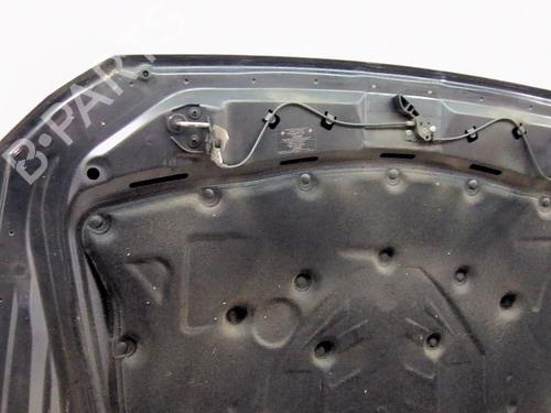 Hood BMW 5 (F10) 520 d | BP28808651C1 