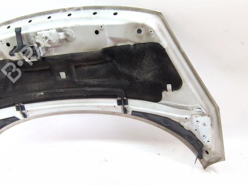 Hood RENAULT SCÉNIC III (JZ0/1_) 1.5 dCi | BP24916483C1
