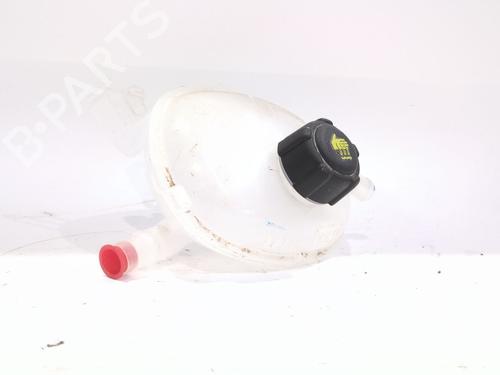 Ekspansjonstank RENAULT ESPACE VI (RHN) E-TECH 200 Hybrid (199 hp) 30702131