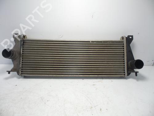 Intercooler LAND ROVER DEFENDER Cabrio (L316) 2.5 TDI 4x4 (L316) | BP24699739M30 