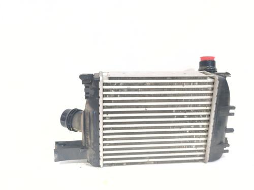 Used Intercooler Intercooler DACIA LODGY (JS_) [2012-2026] 40506373 40506373