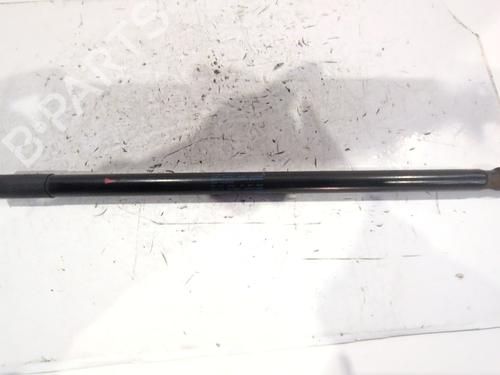 Hood lift support VW GOLF VII Variant (BA5, BV5)  | BP17818060C139 