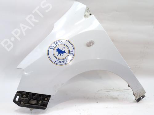 Used Left front fenders DACIA DOKKER Box Body/MPV 1.5 dCi (FEAJ) (90 hp) 30157702