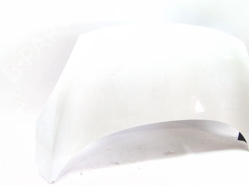 Hood RENAULT SCÉNIC III (JZ0/1_) 1.5 dCi | BP24916483C1