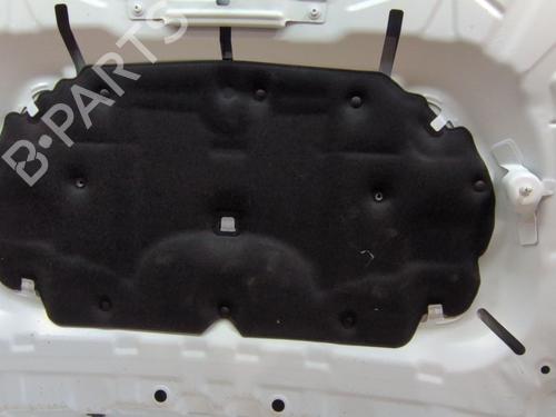 Hood DACIA DUSTER (PYM_, PYN_) 1.2 TCe 130 | BP28022980C1 