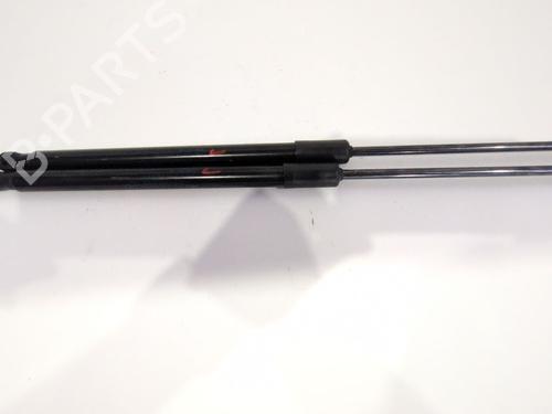 Tailgate lift support RENAULT CLIO V (B7_) 1.5 Blue dCi 100 (B7AD) 904508213R