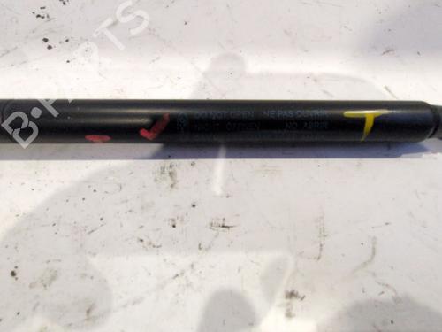 Tailgate lift support FORD KA (RU8) 1.2 | BP28049450C138 