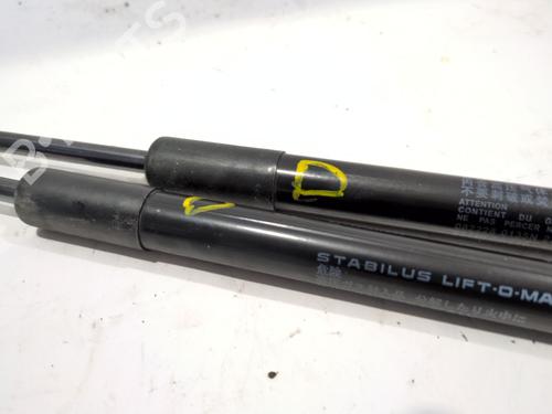 Hood lift support LEXUS NX (_Z1_) 300h AWD (AYZ15, AYZ15_, AYZ15R) | BP24509272C139