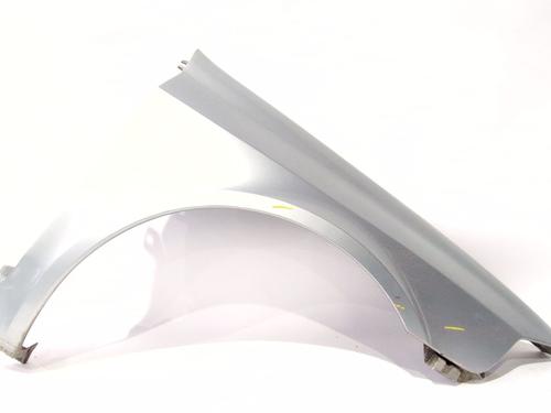 Used Right front fenders RENAULT LAGUNA II (BG0/1_) 1.9 dCi (BG08, BG0G) (120 hp) 30702293