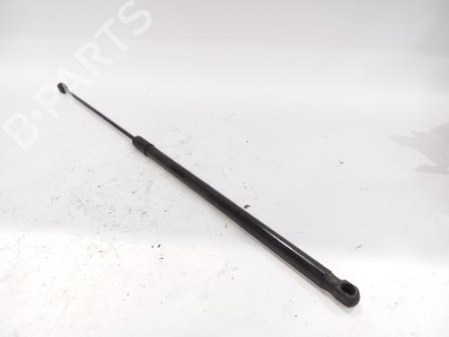 Hood lift support AUDI A4 B8 (8K2)  | BP17822178C139 