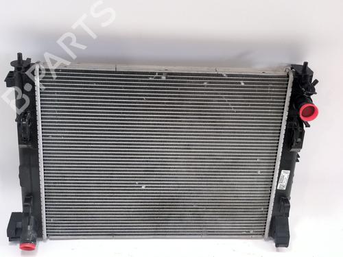 Used Water radiator DACIA DUSTER (PYM_, PYN_) [2023-2025]  29734574