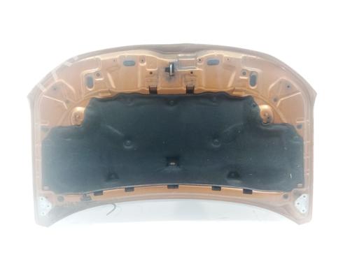 Hood DACIA DUSTER (HM_) | BP38065436C1 - Image 10