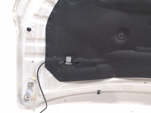 Capot RENAULT AUSTRAL TCe 140 (HGMF) | BP36359064C1  - Image 9