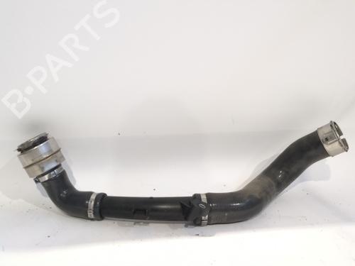 Intercooler pipe RENAULT ARKANA I (LCM_, LDN_)  | BP29827253M127 
