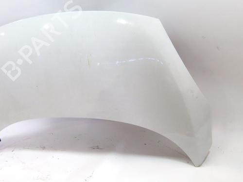 Hood RENAULT SCÉNIC III (JZ0/1_) 1.5 dCi | BP24916483C1