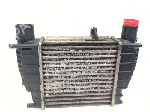 Intercooler Intercooler NISSAN NV200 / EVALIA Bus [2010-2026] 36597787 36597787