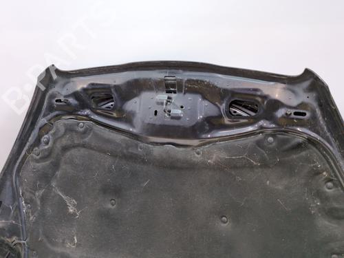 Hood PEUGEOT 508 I (8D_) 1.6 HDi | BP29885502C1 