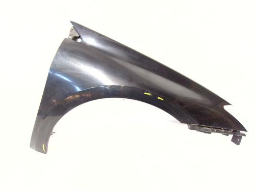 Used Right front fenders RENAULT LAGUNA III (BT0/1) 2.0 dCi (BT07, BT0J, BT14, BT1A, BT1S) (131 hp) 30157863