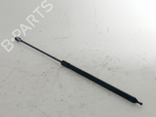 Used Hood lift support RENAULT MEGANE III Hatchback (BZ0/1_, B3_) 1.2 TCe (BZ2B, BZ11) (116 hp) 17819874