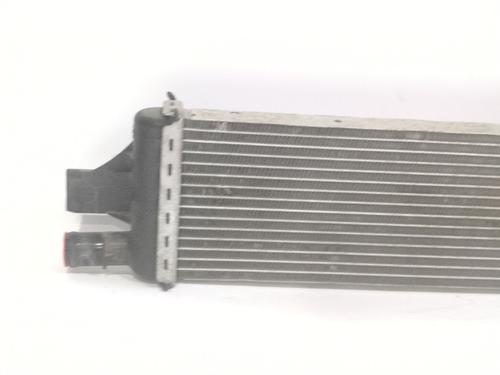 Water radiator RENAULT MASTER III Van (FV) | BP30967258M31