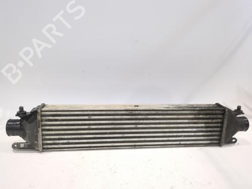 Used Intercooler OPEL COMBO Box Body/MPV (X12) 1.3 CDTI (B05) (90 hp) 29267960