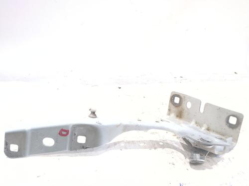hingedoor-check-strap-renault-austral-2022-35980280 main image