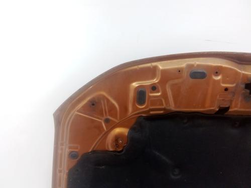 Hood DACIA DUSTER (HM_) | BP38065436C1 - Image 12