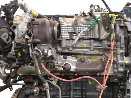 Engine NISSAN NV300 Van (X82) | BP38409976M1 - Image 7