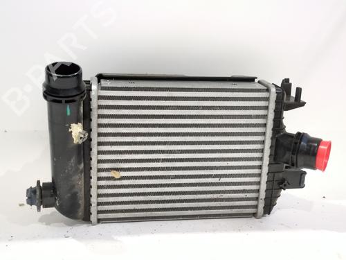 Intercooler RENAULT ARKANA I (LCM_, LDN_) [2019-2025]  29734882