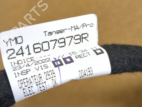 Interiør taket DACIA DUSTER (PYM_, PYN_) | BP30702250I12