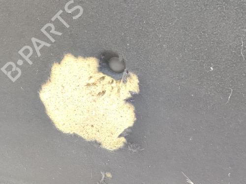 Hood OPEL ASTRA J (P10)  | BP29003331C1 