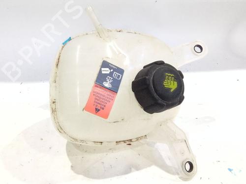 Used Expansion tank RENAULT AUSTRAL E-TECH 200 Hybrid (HGM2) (199 hp) 26555221