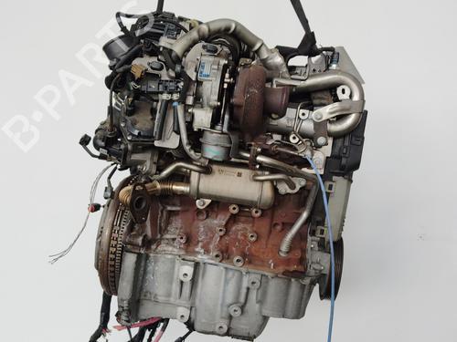 Engine RENAULT MEGANE III Hatchback (BZ0/1_, B3_) 1.5 dCi (BZ09, BZ0D, BZ1W, BZ29, BZ14) | BP27995403M1