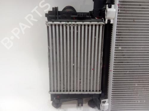 Radiator set RENAULT RAFALE Coupe (DGM_) | BP38286192M120 - Image 6