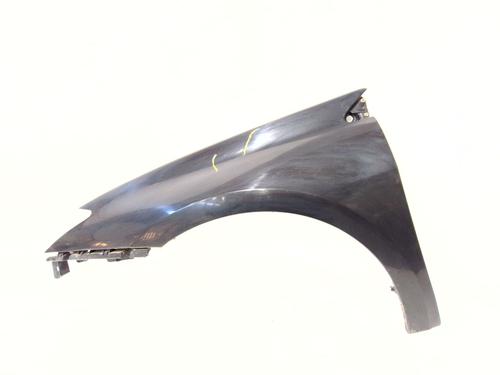 Used Left front fenders RENAULT LAGUNA III (BT0/1) 2.0 dCi (BT07, BT0J, BT14, BT1A, BT1S) (131 hp) 30157864