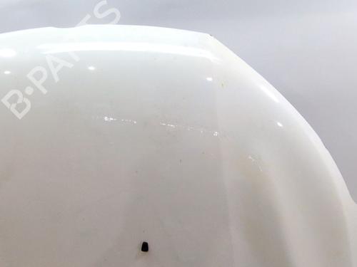 Hood FORD ECOSPORT 1.5 EcoBlue TDCi | BP27174136C1 