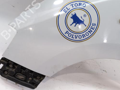 Left front fenders DACIA DOKKER Box Body/MPV 1.5 dCi (FEAJ) | BP30157702C41 