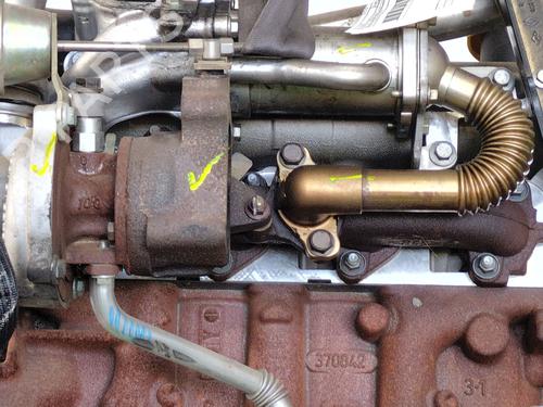 Engine RENAULT MEGANE III Coupe (DZ0/1_) 1.5 dCi (DZ0A) | BP31182462M1