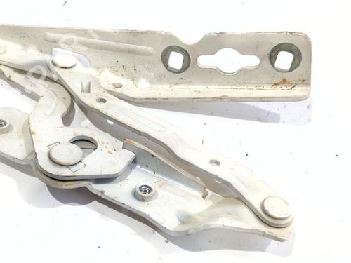Hinge/Door check strap FORD ECOSPORT 1.5 EcoBlue TDCi | BP27165149C146