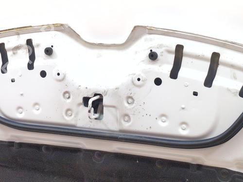 Capot RENAULT AUSTRAL TCe 140 (HGMF) | BP36014441C1  - Image 9