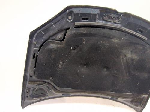 Hood VW GOLF PLUS V (5M1, 521) | BP29326722C1