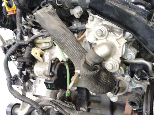 Engine NISSAN INTERSTAR Van (X62B) dCi 150 | BP29419520M1 