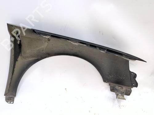 Left front fenders VW PASSAT B6 (3C2) 2.0 TDI | BP30158068C41 
