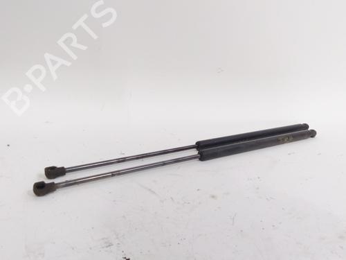 Gassdemper Bakluke RENAULT KOLEOS I (HY_) 2.0 dCi 4x4 (HY0K) (150 hp) 19449673