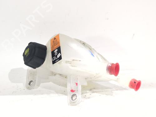 Used Expansion tank RENAULT RAFALE Coupe (DGM_) 1.2 E-TECH 200 Hybrid (DGM2) (200 hp) 31010574