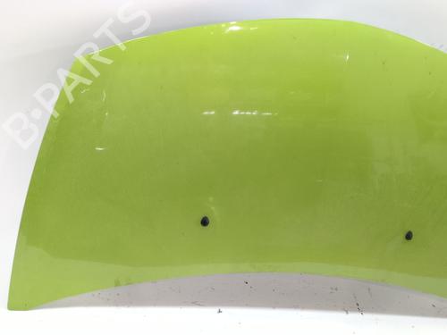 Hood RENAULT CLIO III (BR0/1, CR0/1) 1.5 dCi (C/BR0G, C/BR1G) | BP28210753C1 