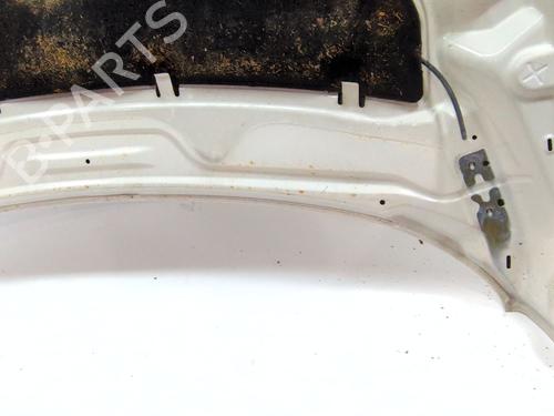 Hood FORD ECOSPORT 1.5 EcoBlue TDCi | BP27174136C1 