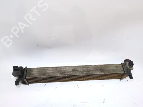 Intercooler CITROËN JUMPER II Van 2.2 BlueHDi 120 | BP27541197M30 